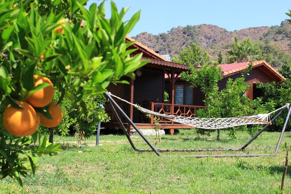 Ikiz Villas Çıralı Exteriér fotografie